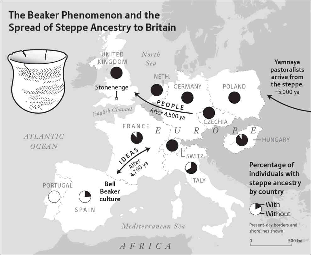 5 16 bell-beaker-spread